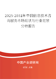 2025年信息技术咨询服务的前景趋势